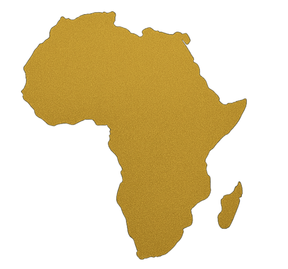 African business intelligence"
